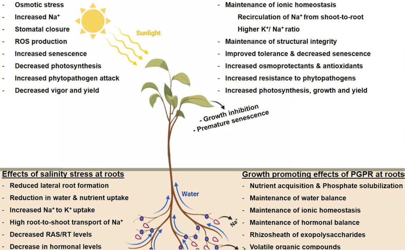 Improving Water Retention